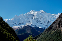 Heading towards Ghyaru.                  20211021