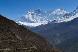 On the way to Yak Kharka.        28°41'4